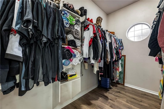 walk in closet featuring dark hardwood / wood-style flooring