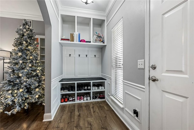 mudroom featuring dark hardwood / wood-style floors, ornamental molding, and a wealth of natural light