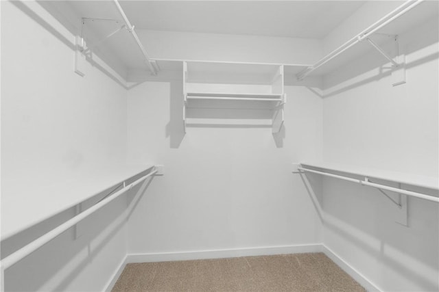 walk in closet featuring carpet