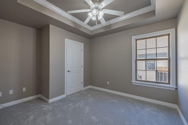 spare room featuring carpet floors, a tray ceiling, ceiling fan, and ornamental molding