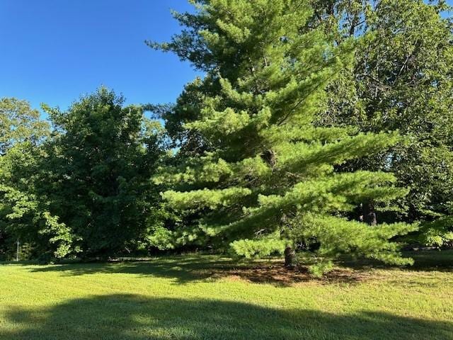 659 Dogwood Ct, Harrison, AR 72601 - photo 39