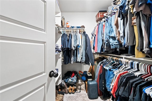 walk in closet with carpet