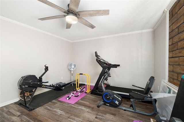 workout area featuring crown molding, ceiling fan, and dark wood-type flooring