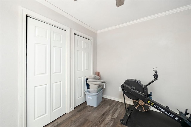 exercise room featuring dark hardwood / wood-style flooring and ornamental molding