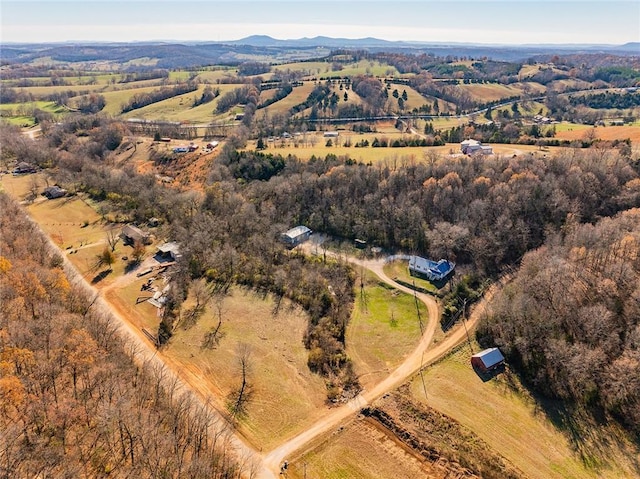 birds eye view of property with a mountain view and a rural view