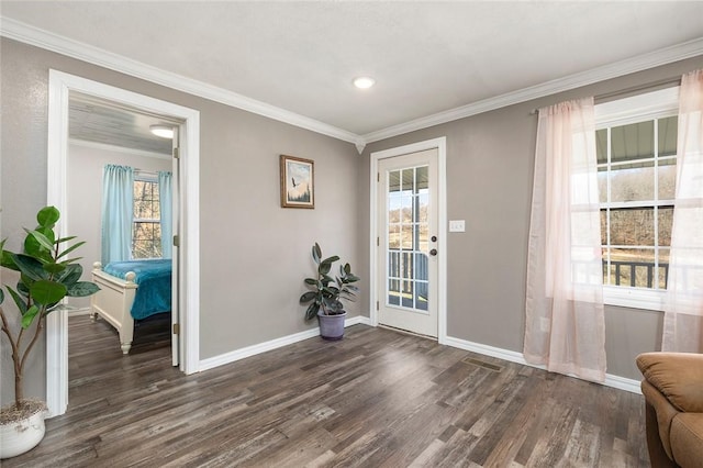 foyer featuring a healthy amount of sunlight, ornamental molding, and dark wood-type flooring