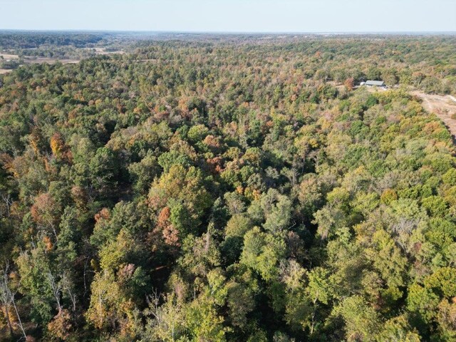 11138 Georgia Flat Rd, Gravette, AR 72736 - photo 43
