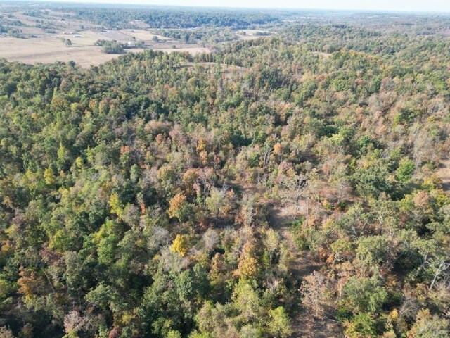 11138 Georgia Flat Rd, Gravette, AR 72736 - photo 47