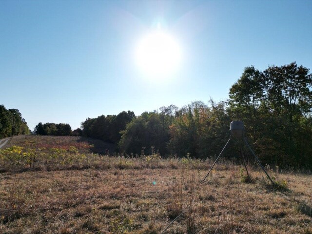 11138 Georgia Flat Rd, Gravette, AR 72736 - photo 31