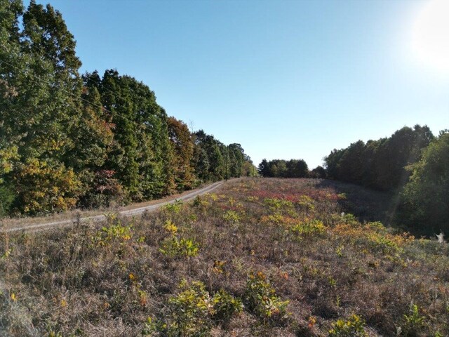 11138 Georgia Flat Rd, Gravette, AR 72736 - photo 32