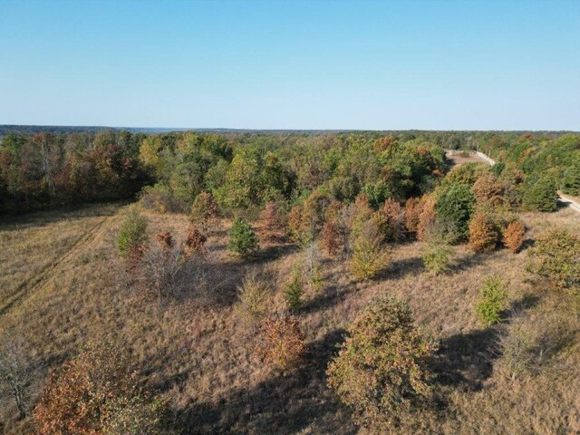 11138 Georgia Flat Rd, Gravette, AR 72736 - photo 33
