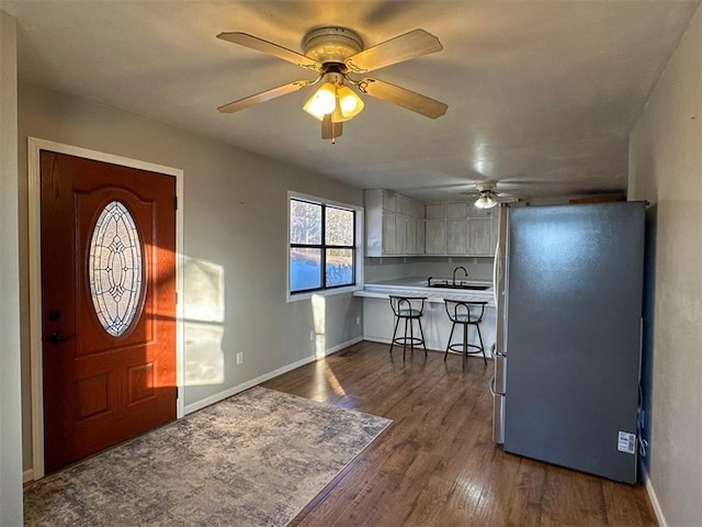 entryway with sink and dark wood-type flooring