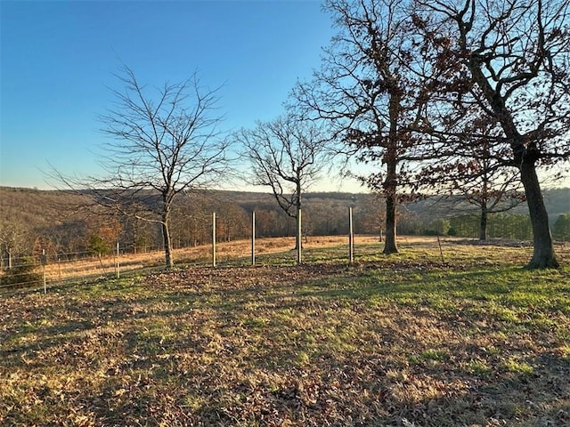 view of yard featuring a rural view and a mountain view