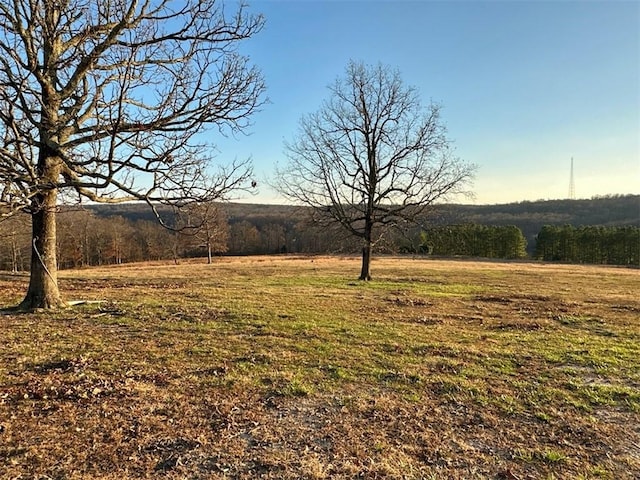 view of yard with a rural view