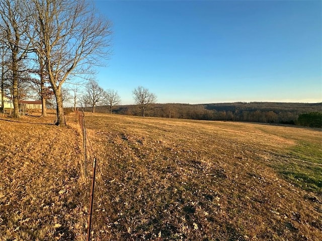 view of yard with a rural view