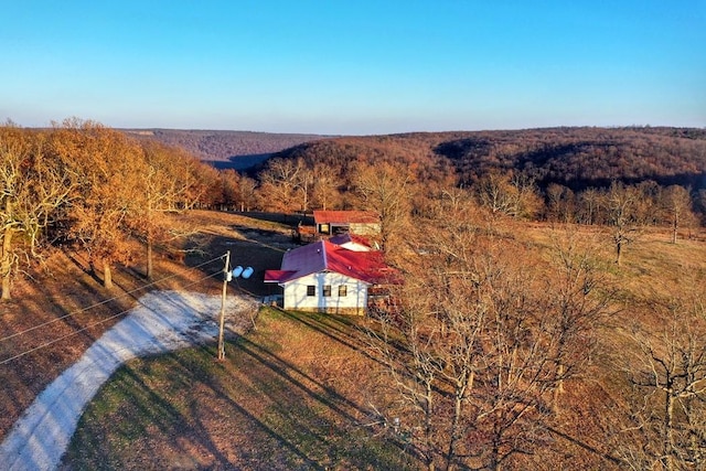 bird's eye view