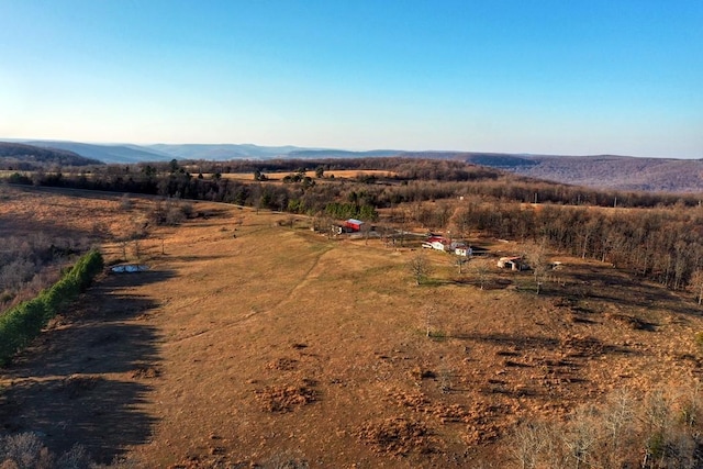 birds eye view of property featuring a mountain view and a rural view