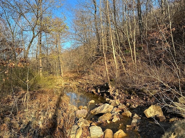 view of landscape