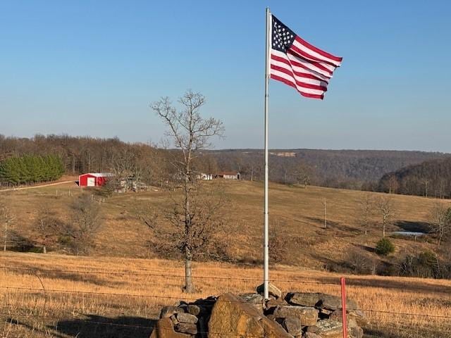 view of yard featuring a rural view