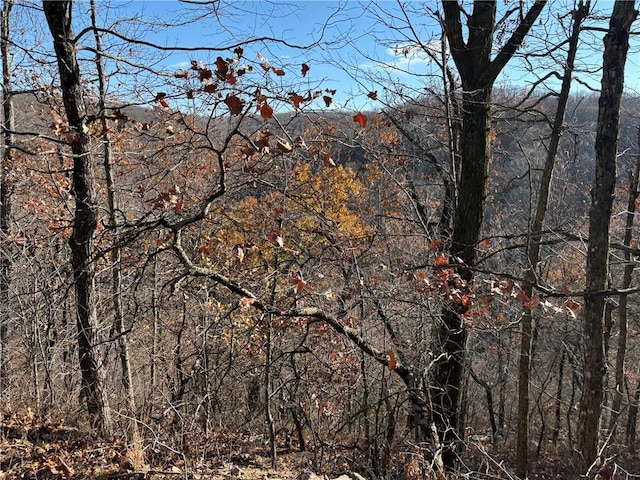 view of mountain feature