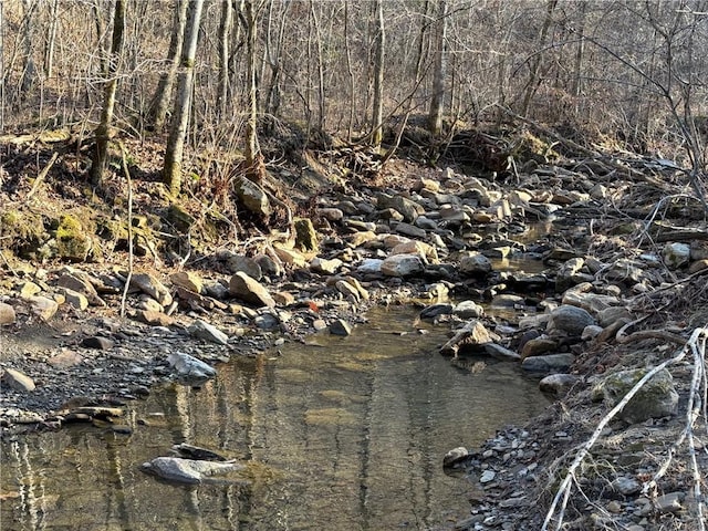 view of local wilderness