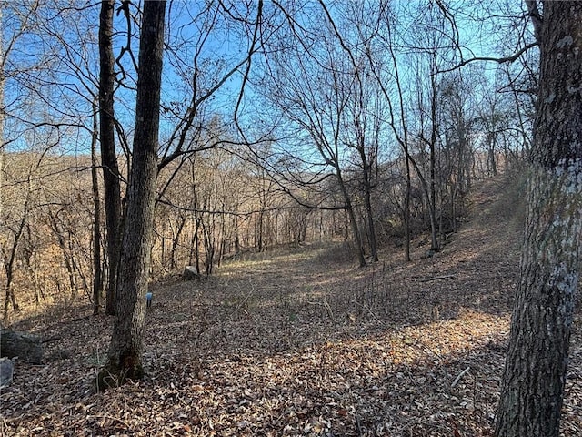 view of landscape