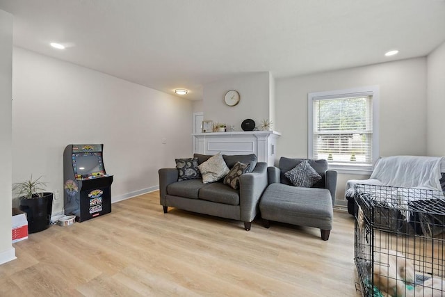 living room featuring light hardwood / wood-style floors