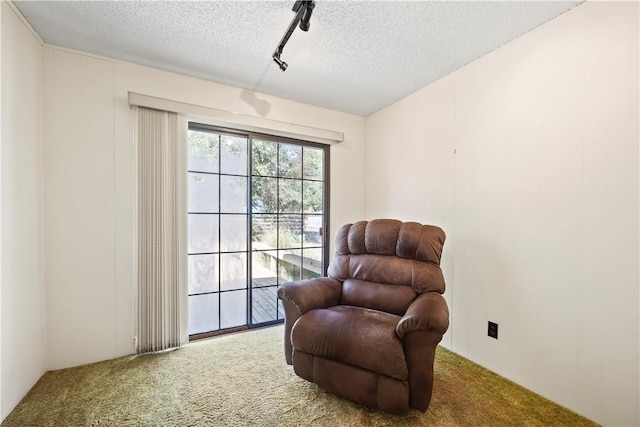 living area with rail lighting, carpet floors, and a textured ceiling