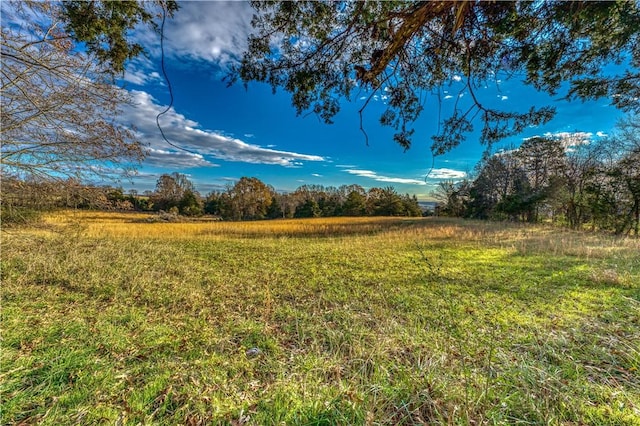 TBD Herb Terry Rd, Harrison AR, 72601 land for sale