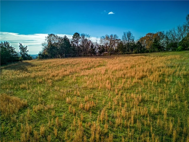 Listing photo 3 for TBD Herb Terry Rd, Harrison AR 72601