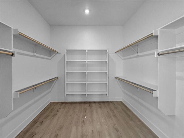 spacious closet featuring light wood-type flooring