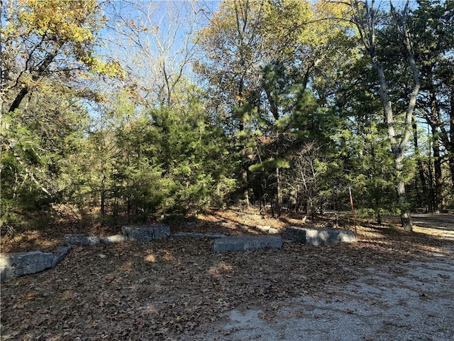 Listing photo 3 for TBD Parkway Road, Eureka Springs AR 72632