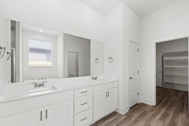 bathroom with hardwood / wood-style floors and vanity