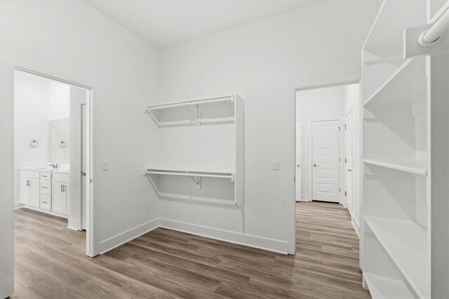 walk in closet featuring sink and wood-type flooring