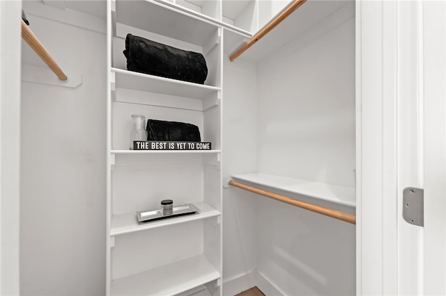 view of spacious closet