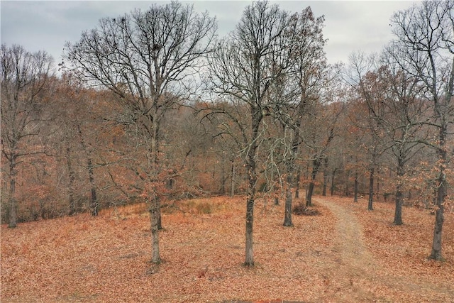 Listing photo 3 for LOT10 Oak Leaf Dr, Harrison AR 72601