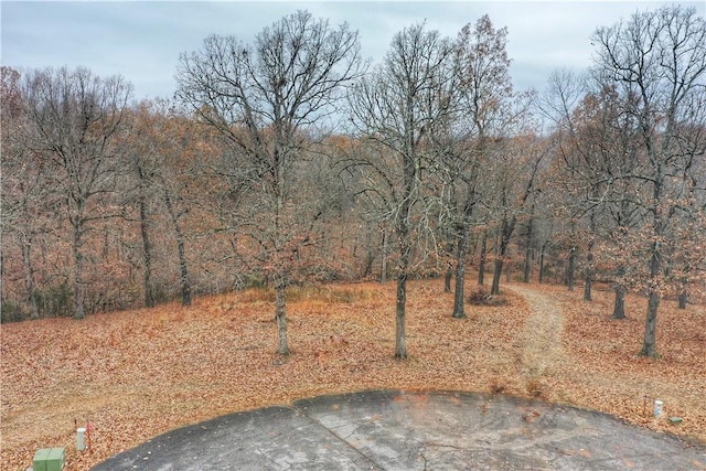 Listing photo 3 for LOT10 Oak Leaf Dr, Harrison AR 72601