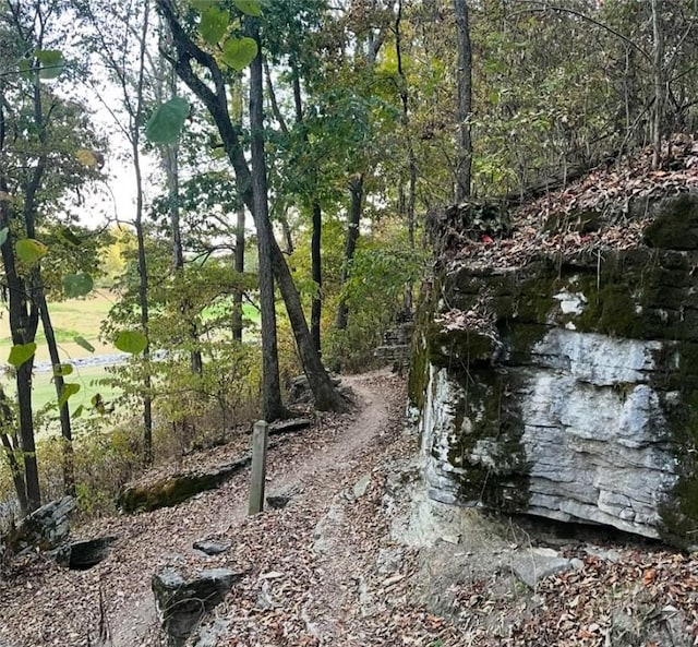 view of landscape