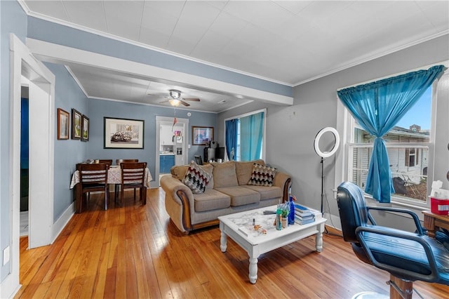 living room featuring ceiling fan, hardwood / wood-style floors, and ornamental molding