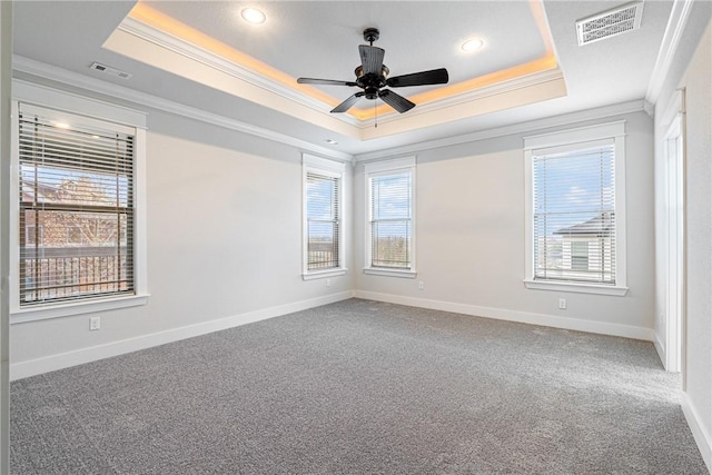 spare room featuring a raised ceiling, plenty of natural light, and ornamental molding