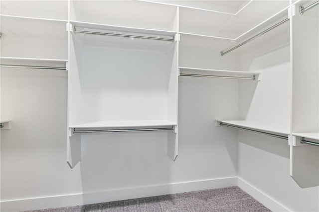 walk in closet featuring carpet flooring