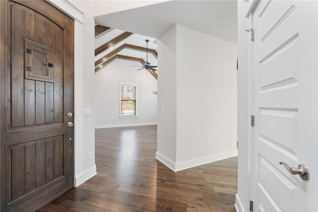 foyer entrance featuring lofted ceiling with beams, dark hardwood / wood-style floors, and ceiling fan