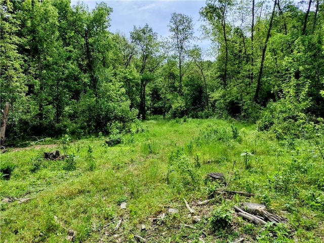 Listing photo 2 for 6.38ACRES Shady Black Oak Way, Decatur AR 72722