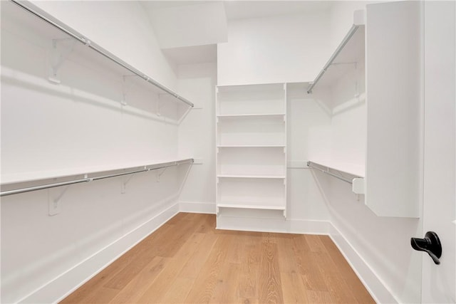 walk in closet with light wood-type flooring