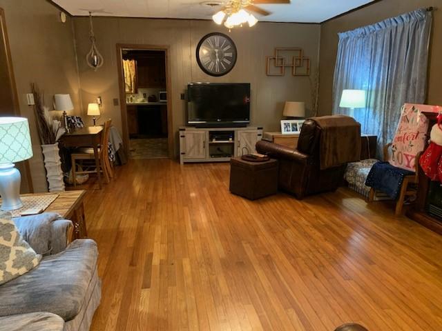 living room featuring ceiling fan and light wood-type flooring