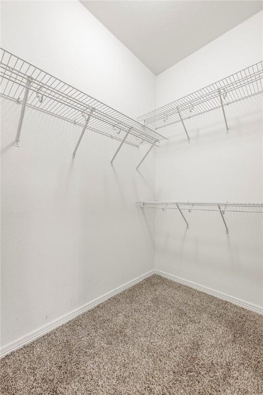 spacious closet with carpet floors