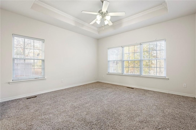 carpeted spare room with plenty of natural light, a raised ceiling, and ornamental molding