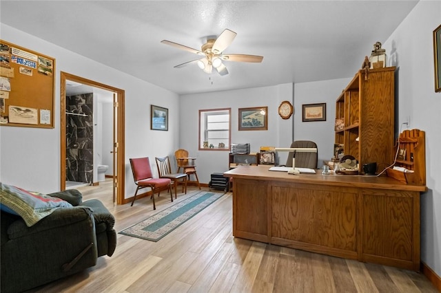 office featuring ceiling fan and light wood-type flooring