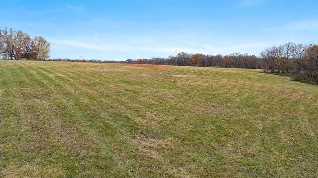 view of yard with a rural view