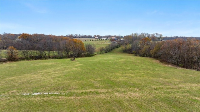 view of yard with a rural view